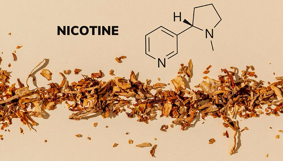بخوانید: 11 حقیقت مهم در مورد نیکوتین که احتمالا نمی‌دانید!